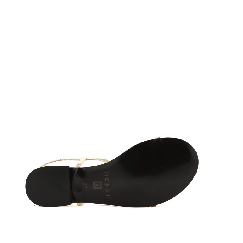 Nessi 49004 z